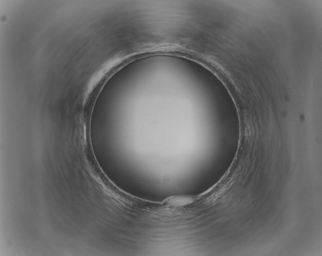 X0000073761414200608241400