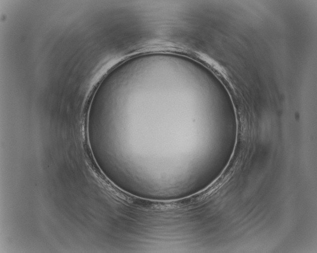 X0000073761415200608241400