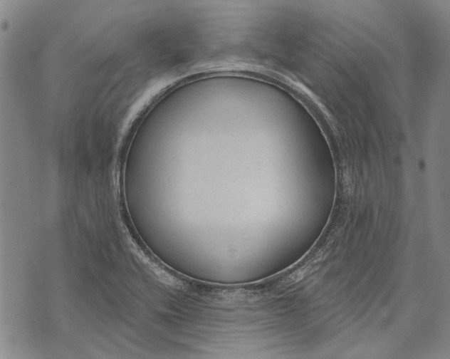 X0000073761416200608241400