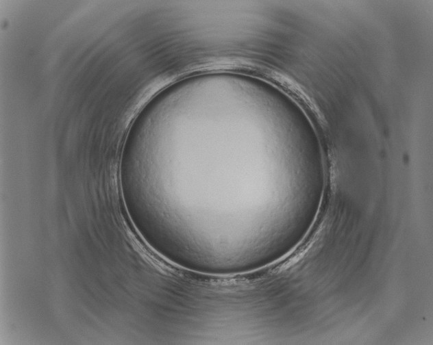 X0000073761417200608241400