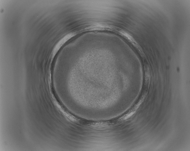 X0000073761418200608241400