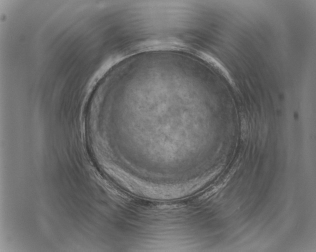 X0000073761419200608241400