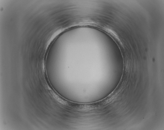 X0000073761420200608241400