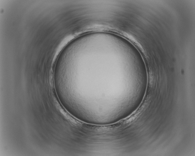 X0000073761421200608241401