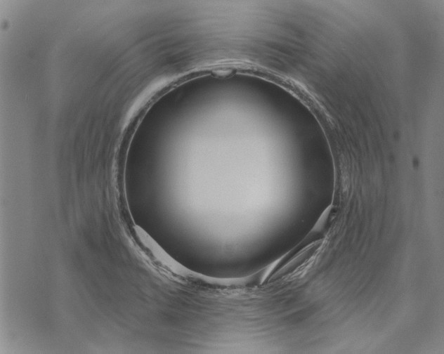 X0000073761422200608241401