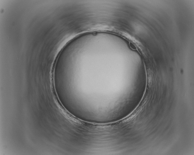 X0000073761423200608241401