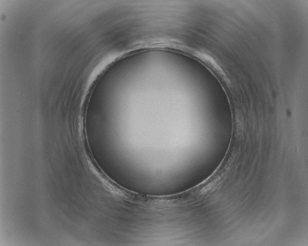 X0000073761424200608241401