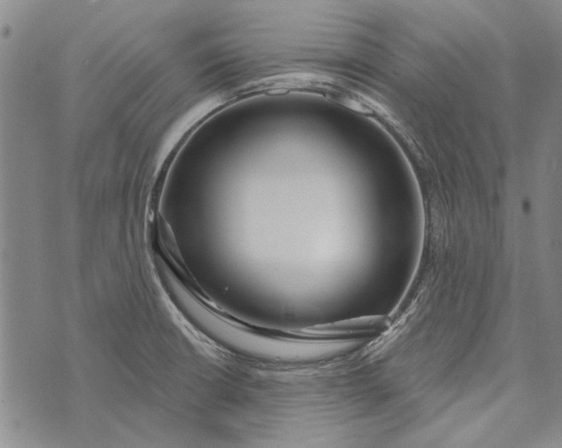 X0000073761426200608241401