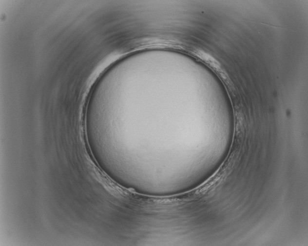 X0000073761427200608241401