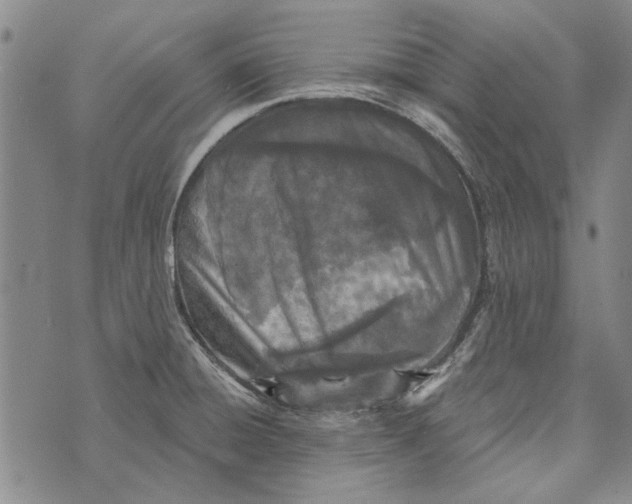 X0000073761428200608241401