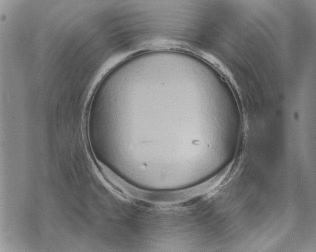 X0000073761429200608241401