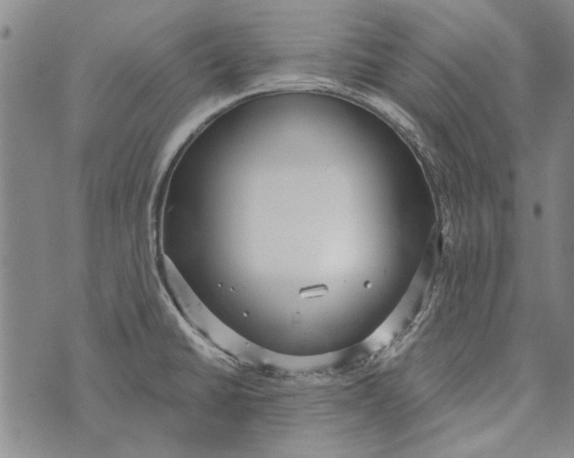 X0000073761430200608241401