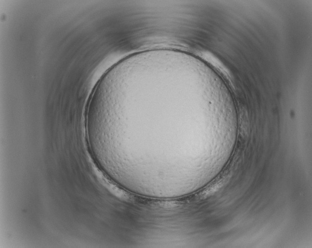 X0000073761431200608241401