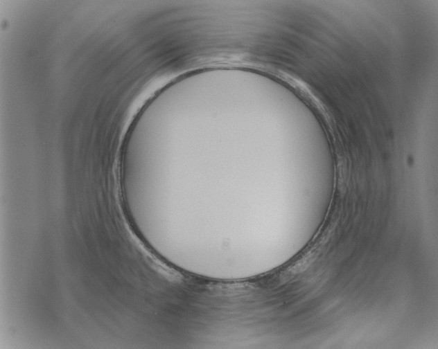 X0000073761432200608241401