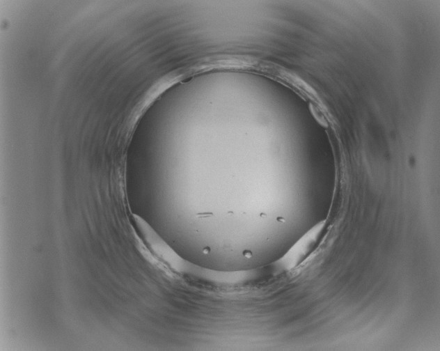 X0000073761433200608241401