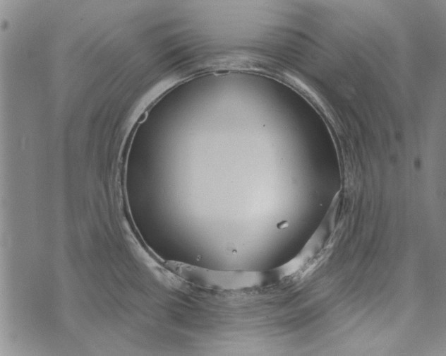 X0000073761434200608241401