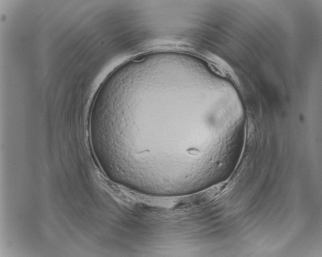 X0000073761435200608241401