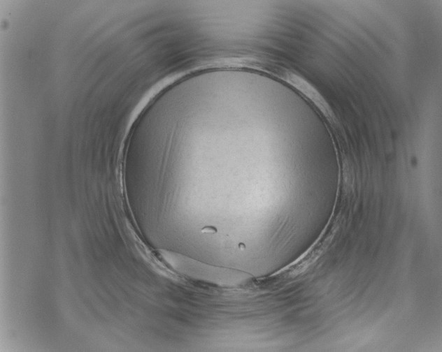 X0000073761436200608241401