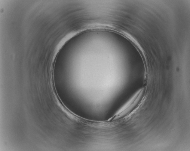 X0000073761437200608241401