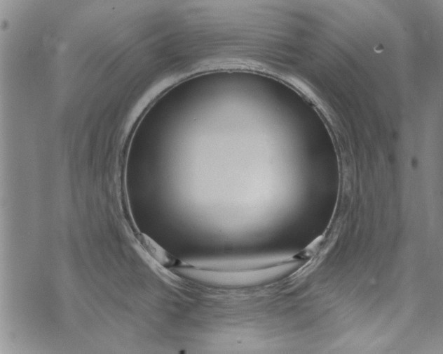 X0000073761438200608241401