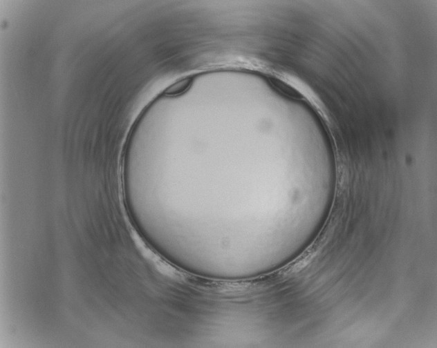 X0000073761439200608241401