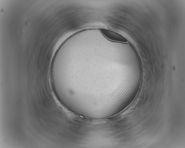 X0000073761440200608241401