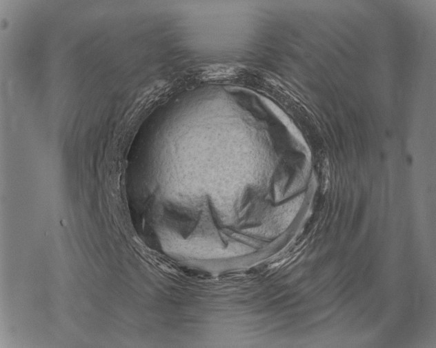 X0000073761441200608241400