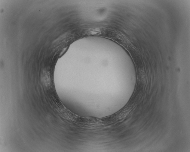 X0000073761442200608241400