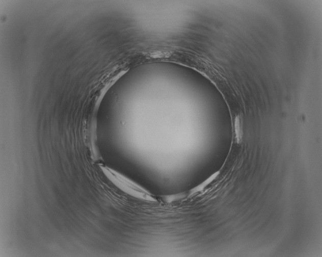 X0000073761443200608241400