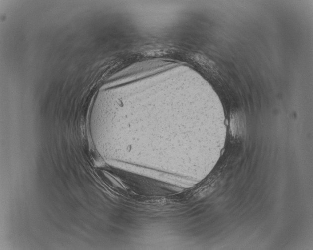 X0000073761444200608241400