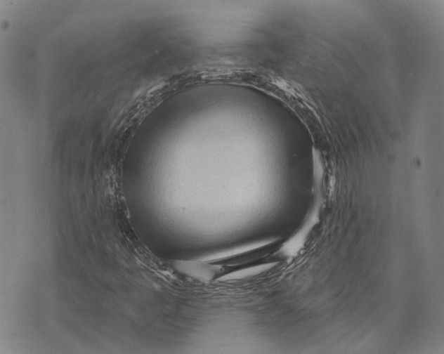 X0000073761445200608241400