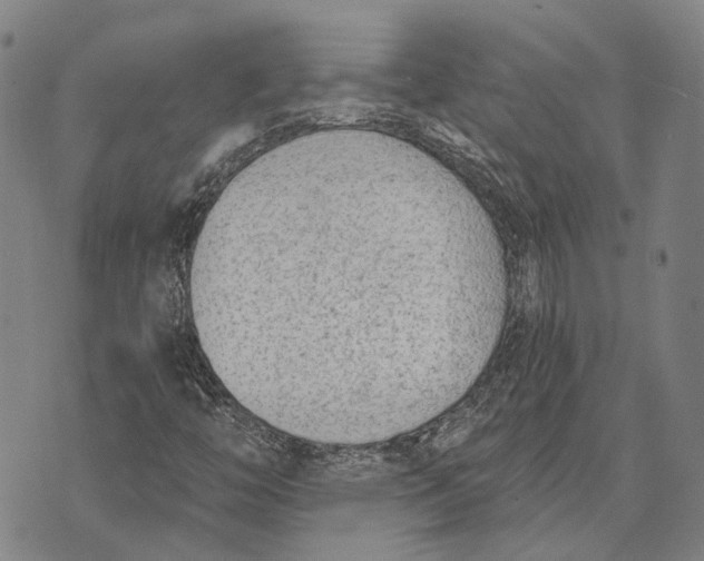 X0000073761446200608241400