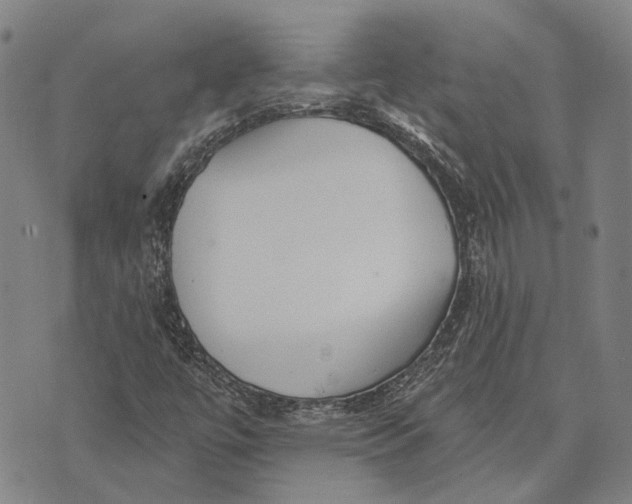 X0000073761447200608241400