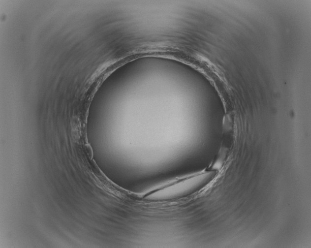 X0000073761449200608241400