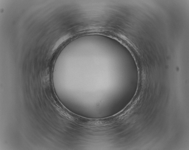 X0000073761450200608241400