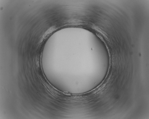 X0000073761451200608241400