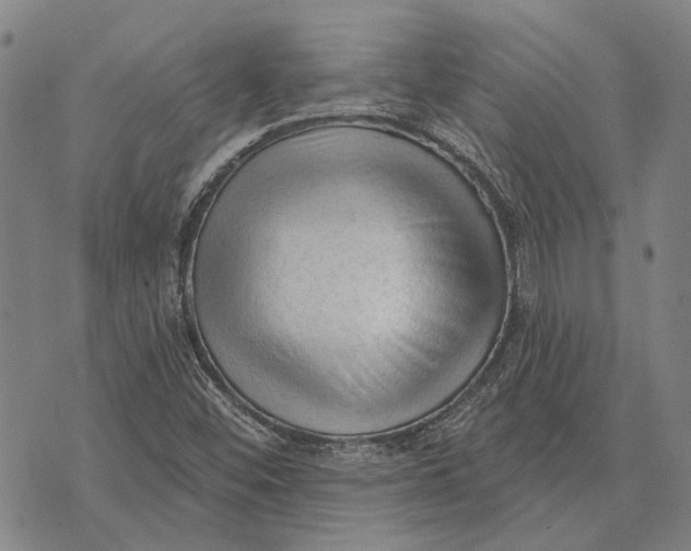 X0000073761452200608241400