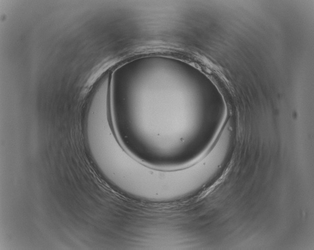 X0000073761453200608241400