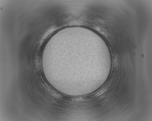 X0000073761454200608241400