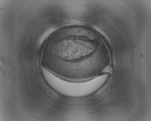 X0000073761455200608241400