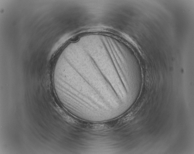 X0000073761456200608241400