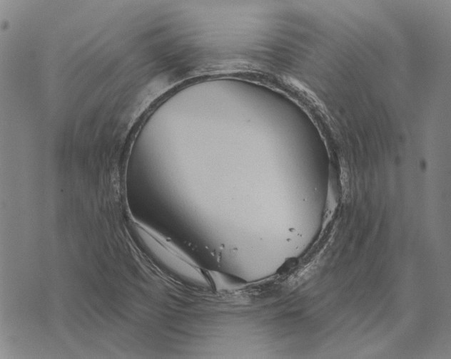 X0000073761457200608241400