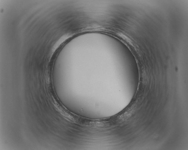 X0000073761458200608241400