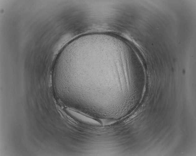 X0000073761459200608241400