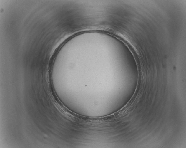 X0000073761460200608241400