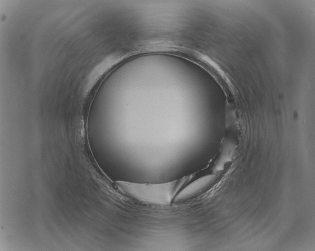 X0000073761461200608241400