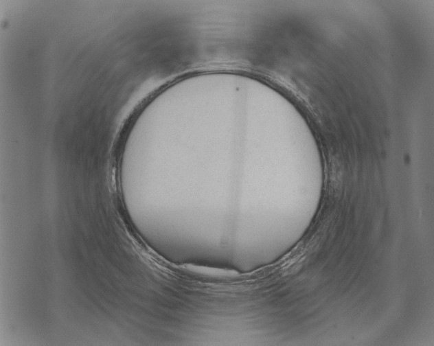 X0000073761462200608241400