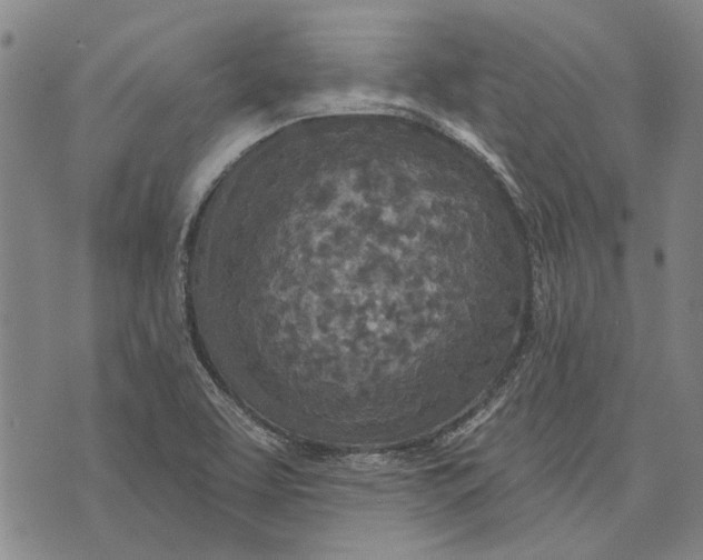 X0000073761463200608241400