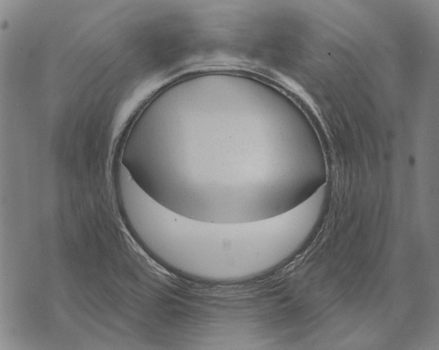 X0000073761464200608241400