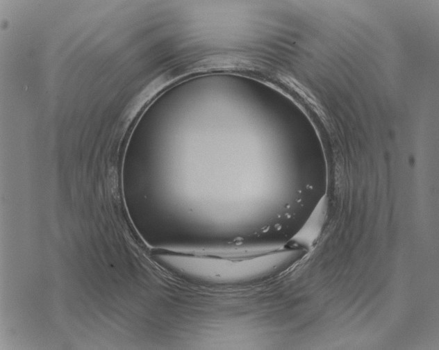 X0000073761465200608241400